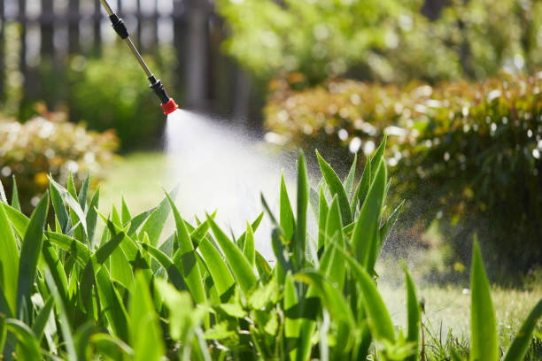 Tamper-Resistant Bait Stations for Rodents in Yates Center
