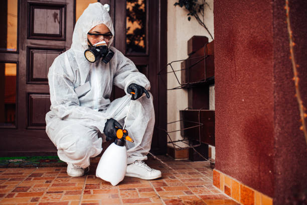 Attic and Crawl Space Rodent Treatment in Yates Center