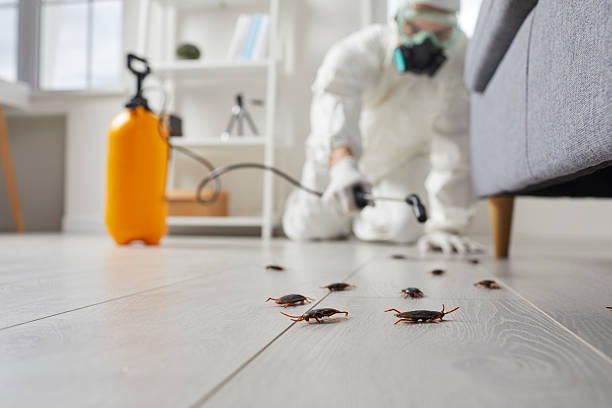 Commercial Rodent Management in Yates Center